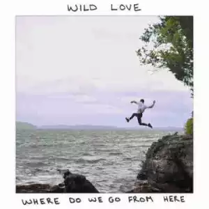 Where Do We Go From Here BY Wild Love